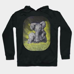 2 Baby Elelphants in the grass Hoodie